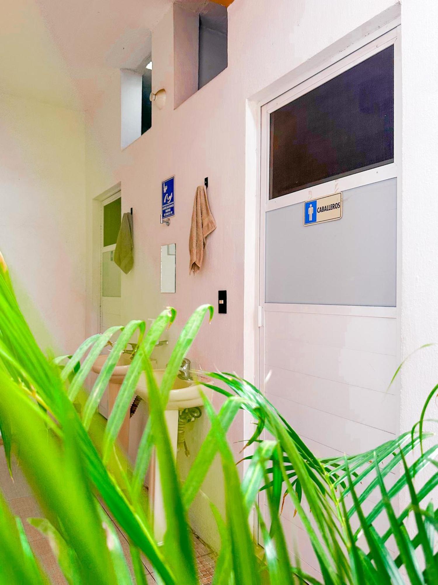 Habitacionez Hvuz Oaxaca Εξωτερικό φωτογραφία