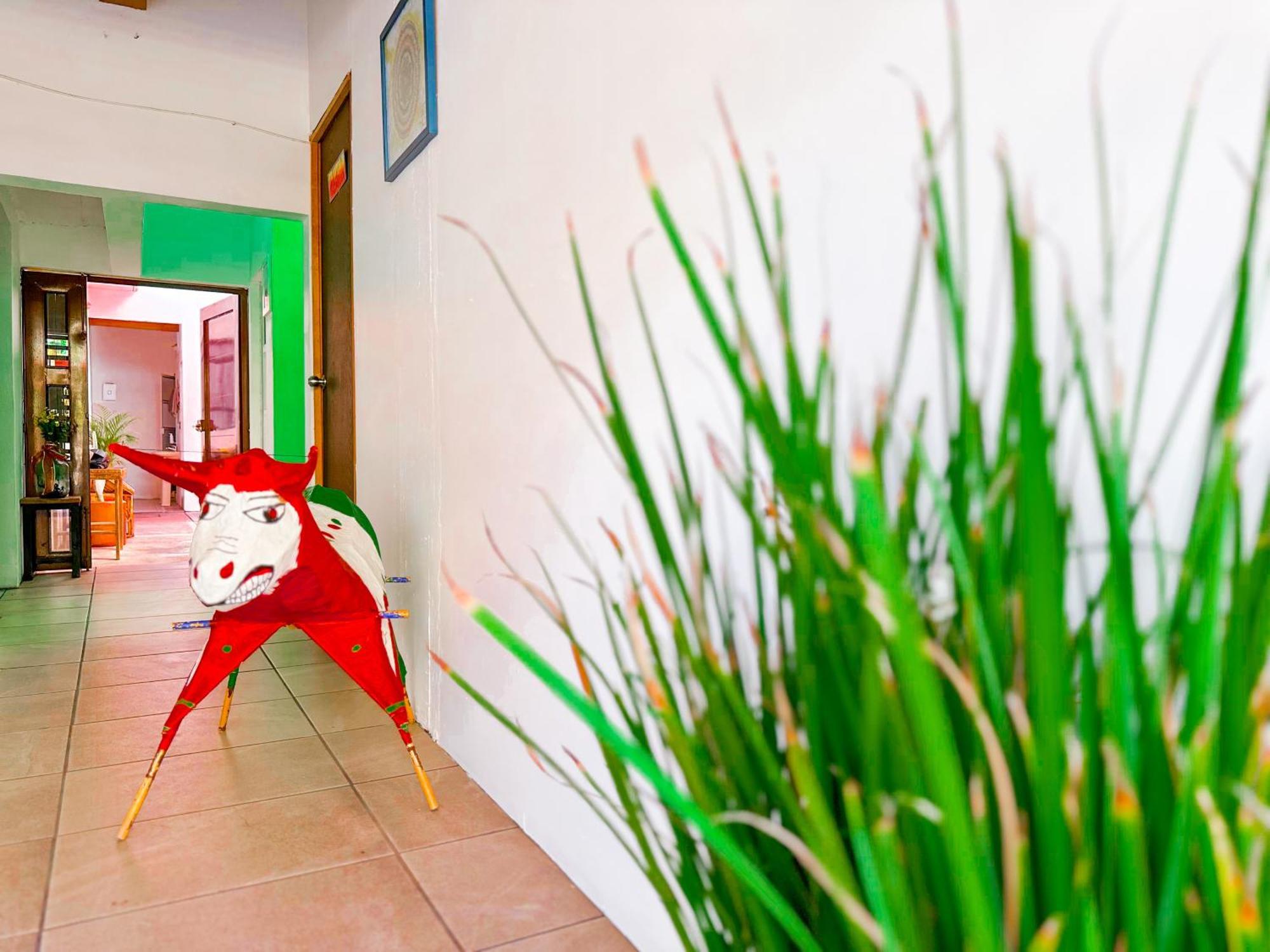 Habitacionez Hvuz Oaxaca Εξωτερικό φωτογραφία