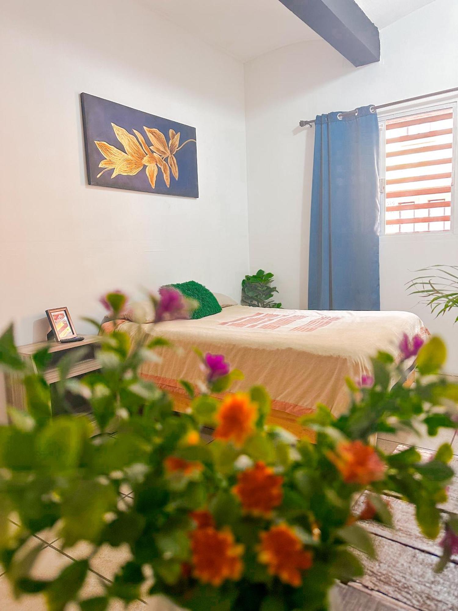 Habitacionez Hvuz Oaxaca Εξωτερικό φωτογραφία