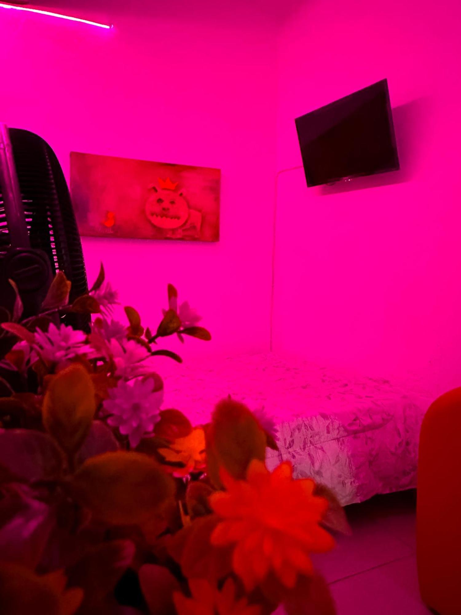 Habitacionez Hvuz Oaxaca Εξωτερικό φωτογραφία